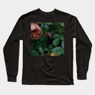 rain garden Long Sleeve T-Shirt